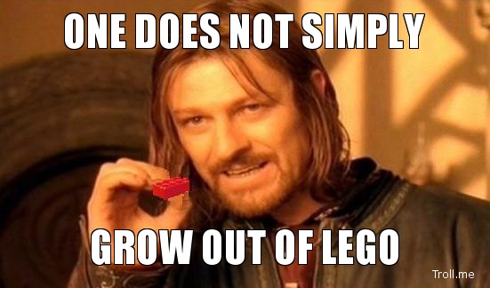 LEGO is still awesome at 29 :)